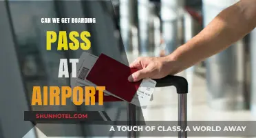 Boarding Pass Availability: Airport or Online?
