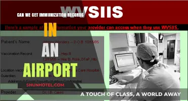 Immunization Records: Airport Access?