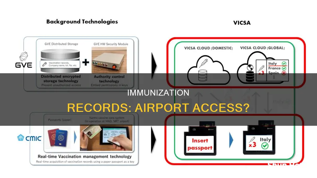 can we get immunization records in an airport