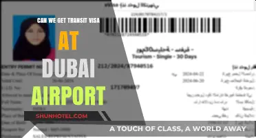 Dubai Airport Transit Visa: What You Need to Know