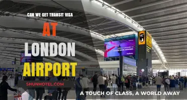 London Airport Transit Visa: What You Need to Know
