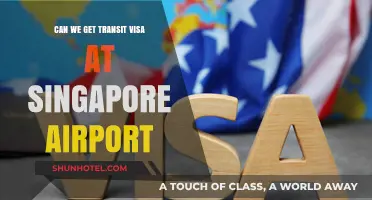 Singapore Airport Transit Visa: How to Get One?