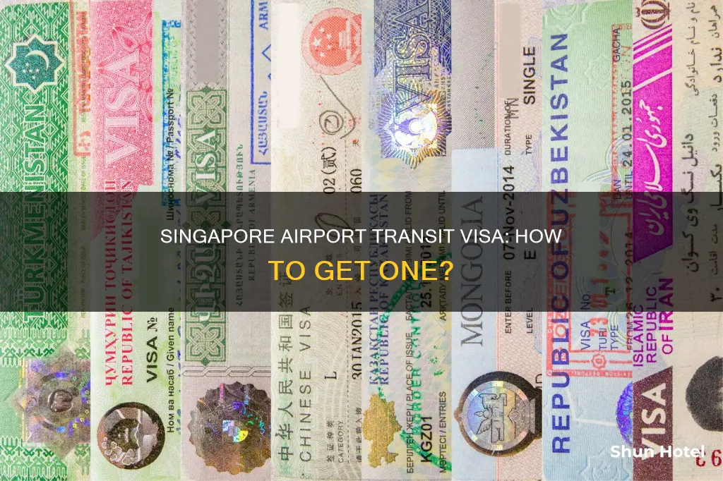 can we get transit visa at singapore airport
