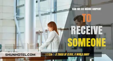 Exploring Airport Terminal Access for Guest Greeting