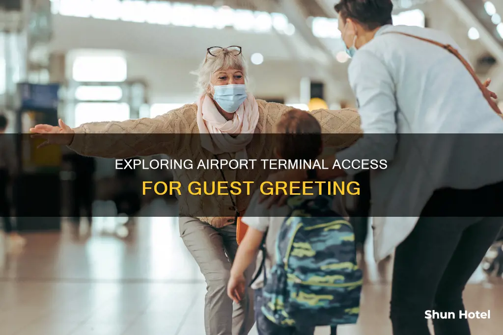 can we go inside airport to receive someone