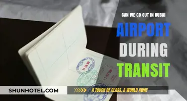 Exploring Dubai Airport During Transit: Is It Possible?