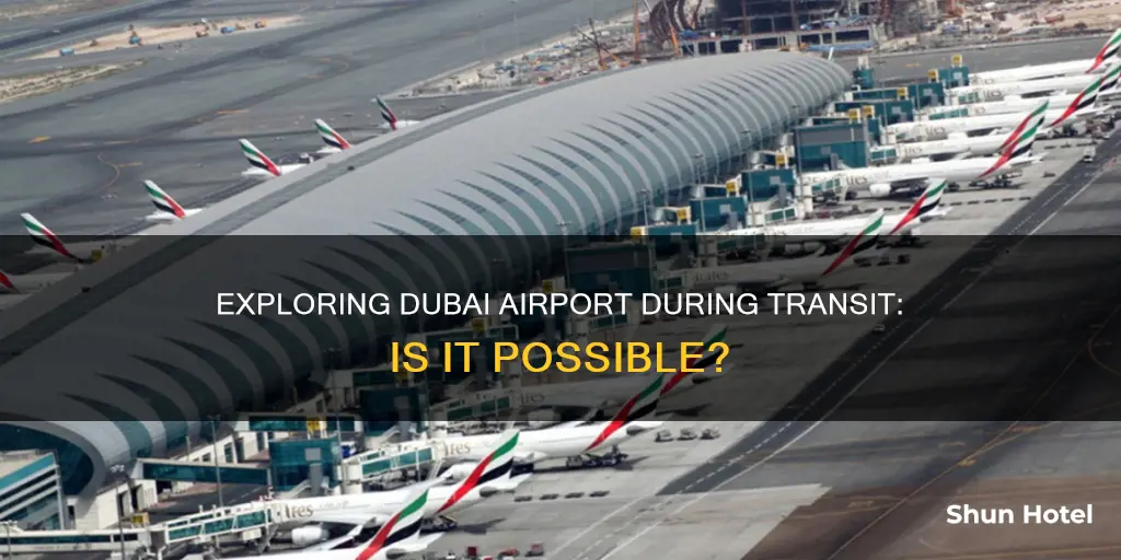 can we go out in dubai airport during transit