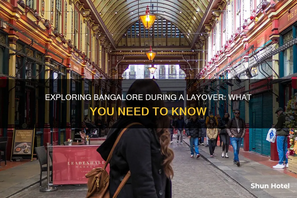 can we go out of airport during layover in bangalore