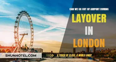 Exploring London During a Layover: What You Need to Know