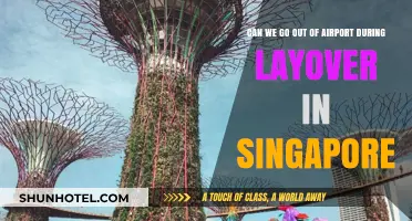 Exploring Singapore During a Layover: Can We Leave the Airport?