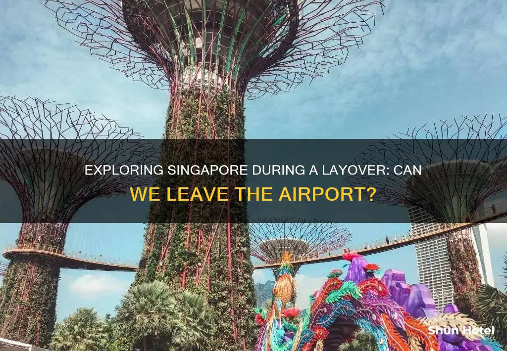 can we go out of airport during layover in singapore