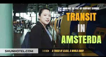 Exploring Amsterdam during a layover: What are the options?