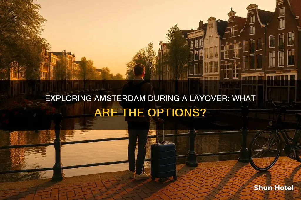 can we go out of airport during transit in amsterdam