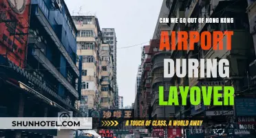 Exploring Hong Kong During a Layover: What You Need to Know