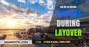 Exploring Beyond the Airport During Layovers