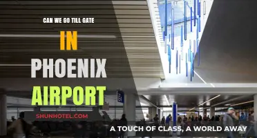Navigating Phoenix Airport: Can We Go Till Gate?
