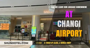 Exploring Changi Airport's Luggage Storage Options