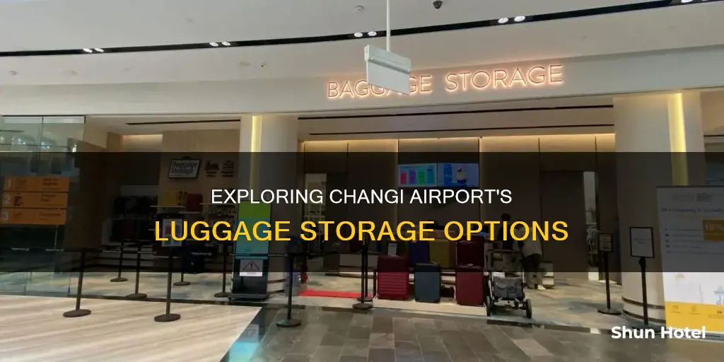 can we leave our luggage somewhere at changi airport