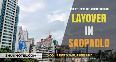 Exploring São Paulo: Layover Edition