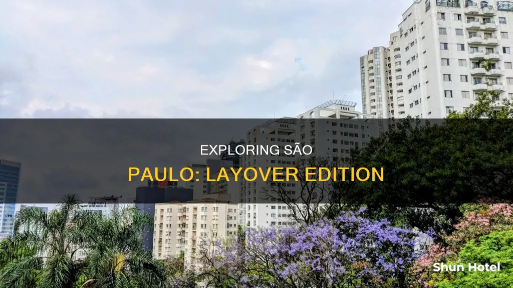 can we leave the airport during layover in saopaolo