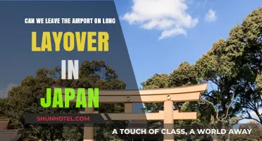 Exploring Japan During a Long Layover: Can You Leave?