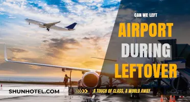Exploring the City: Airport Layovers