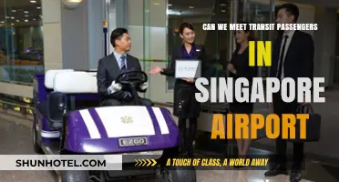 Exploring Singapore Airport: Meeting Transit Passengers