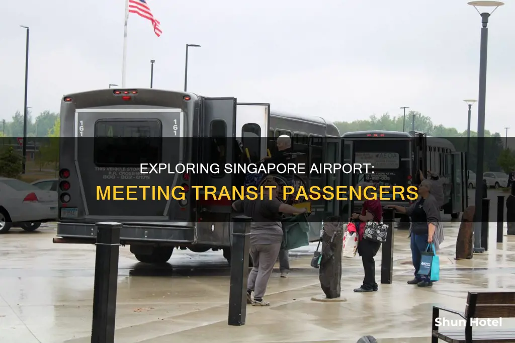can we meet transit passengers in singapore airport