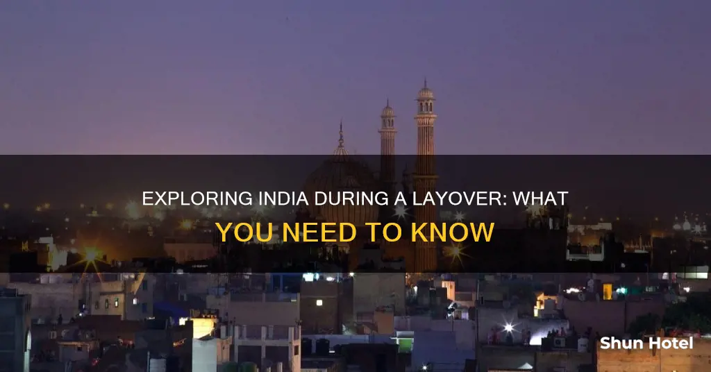 can we move out of airport during layover in india