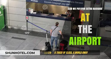 Extra Baggage: Pay at the Airport?