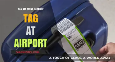 Printing Baggage Tags: Airport Kiosks to the Rescue