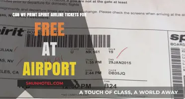 Spirit Airlines: Free Airport Ticket Printing?