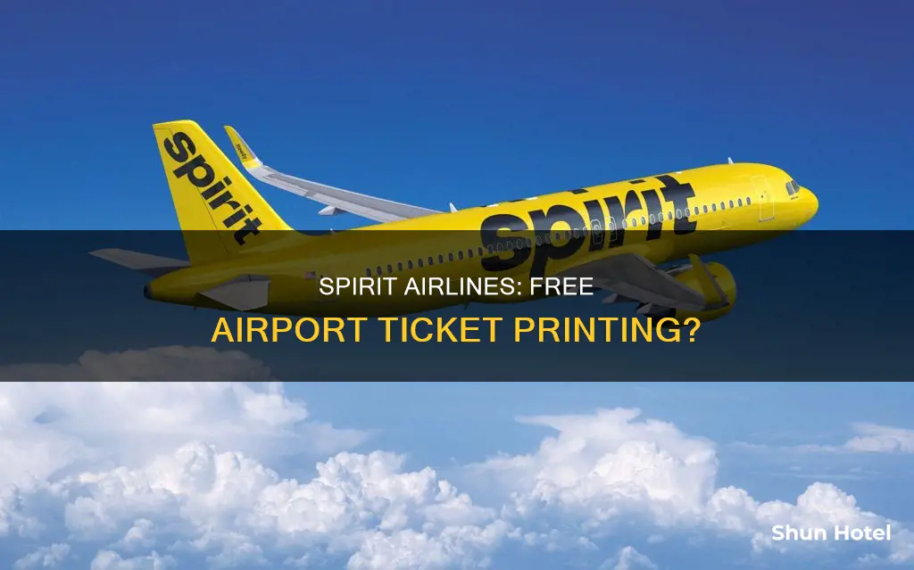 can we print spirit airline tickets for free at airport