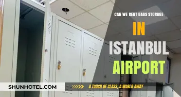 Istanbul Airport: Renting Storage for Your Bags