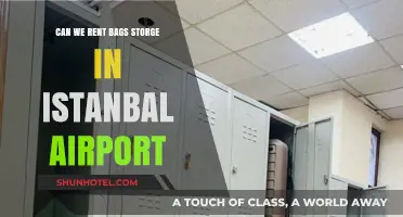 Istanbul Airport's Bag Storage Rental Options