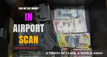 Airport Scanners: Can They See Our Money?
