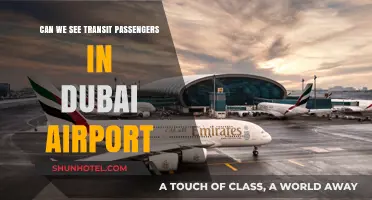Dubai Airport: Transit Passengers and Their Visibility