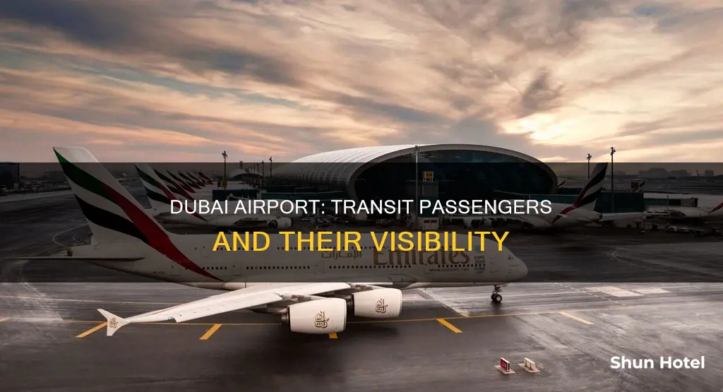 can we see transit passengers in dubai airport