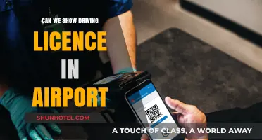 Airport Identification: Driving Licence Valid?