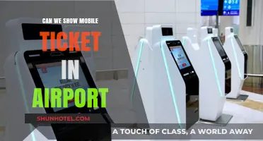 Mobile Tickets: A Smooth Airport Experience?