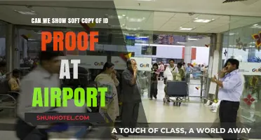 Soft Copy ID Proofs: Valid at Airports?