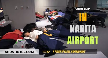 A Comfortable Sleep at Narita Airport?