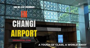 Exploring Changi Airport: Can You Sleep Over?
