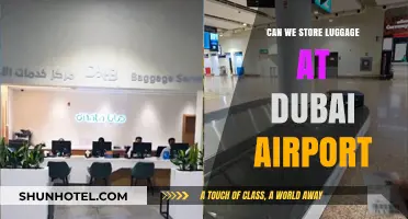 Dubai Airport: Storing Luggage Safely and Securely
