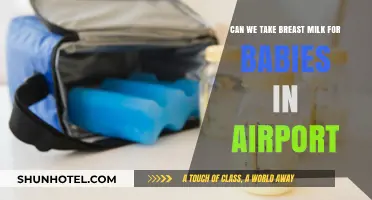 Breast Milk for Babies: Airport Security Rules