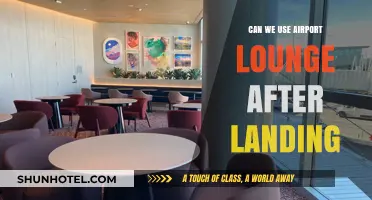 Airport Lounge Access: Post-Landing Relaxation?