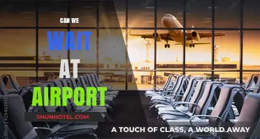 Waiting at the Airport: A Traveler's Dilemma