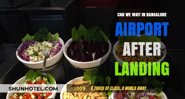 Exploring Bangalore Airport: Can We Stay Post-Landing?
