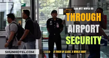 Wet Wipes and Airport Security: What's Allowed?