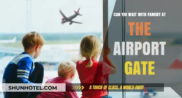 Waiting at the Gate: A Family Affair